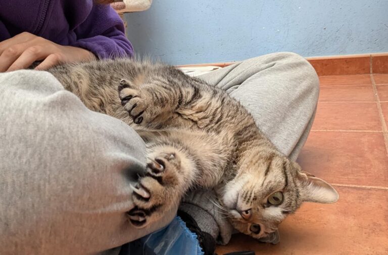 multimedia-foto92584-235-1