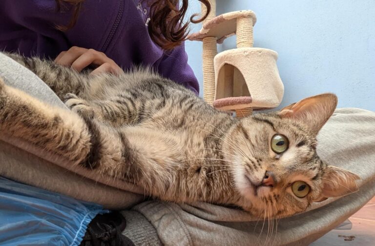 multimedia-foto92585-235-1