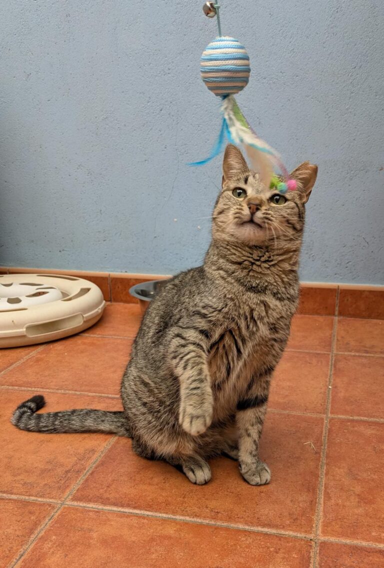 multimedia-foto92587-236-1