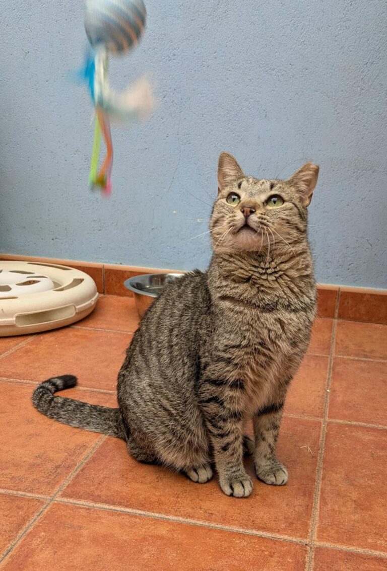 multimedia-foto92588-236-1