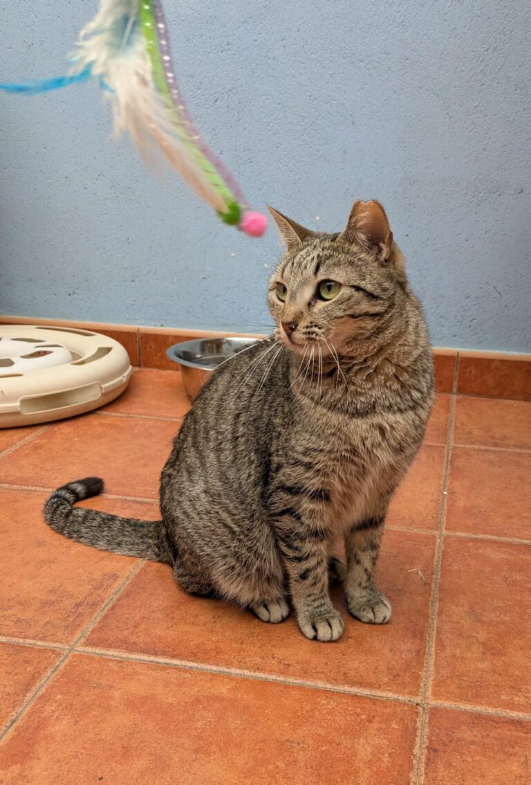 multimedia-foto92589-236-1