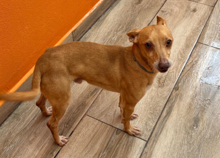 multimedia-foto92591-156-1