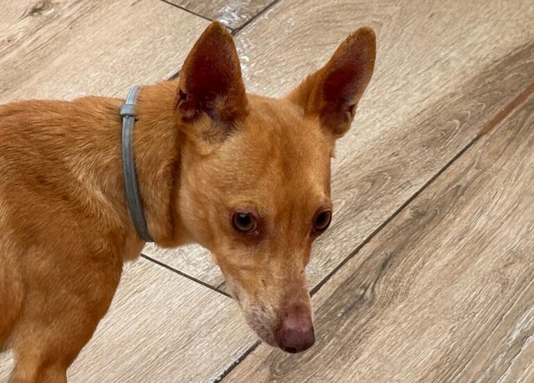 multimedia-foto92592-157-1