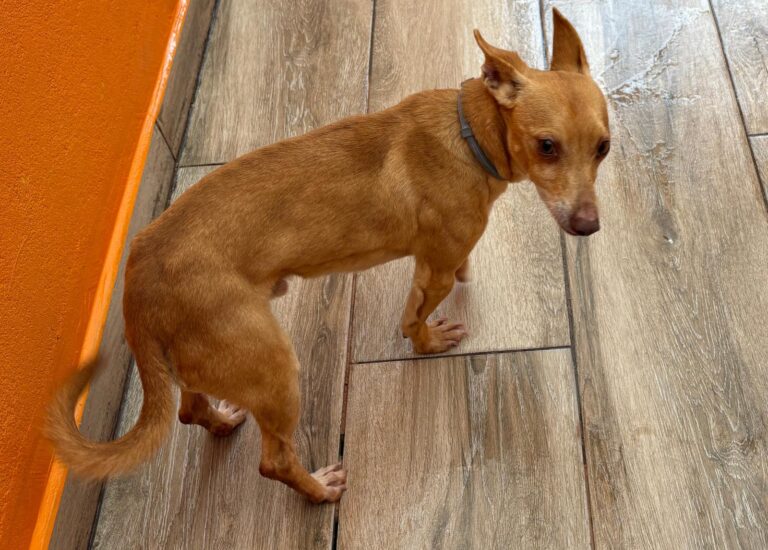 multimedia-foto92594-157-1