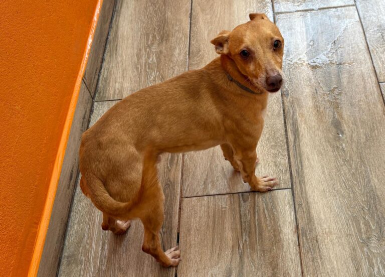 multimedia-foto92595-157-1