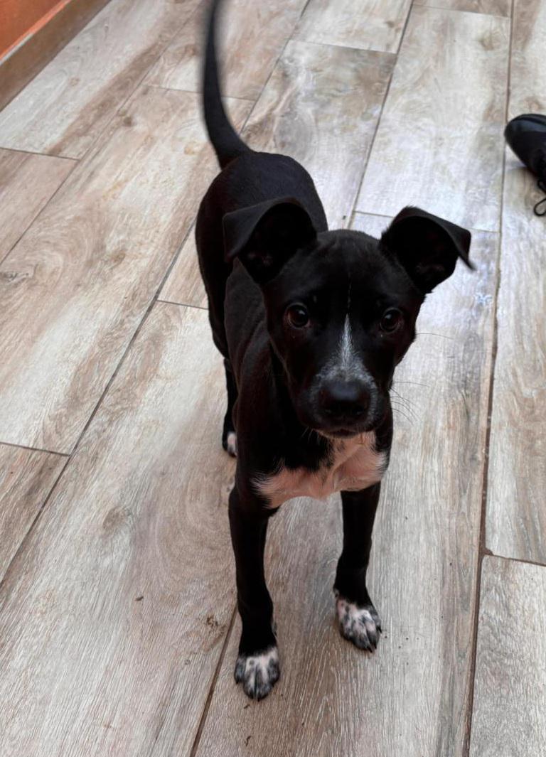 multimedia-foto92596-805-1