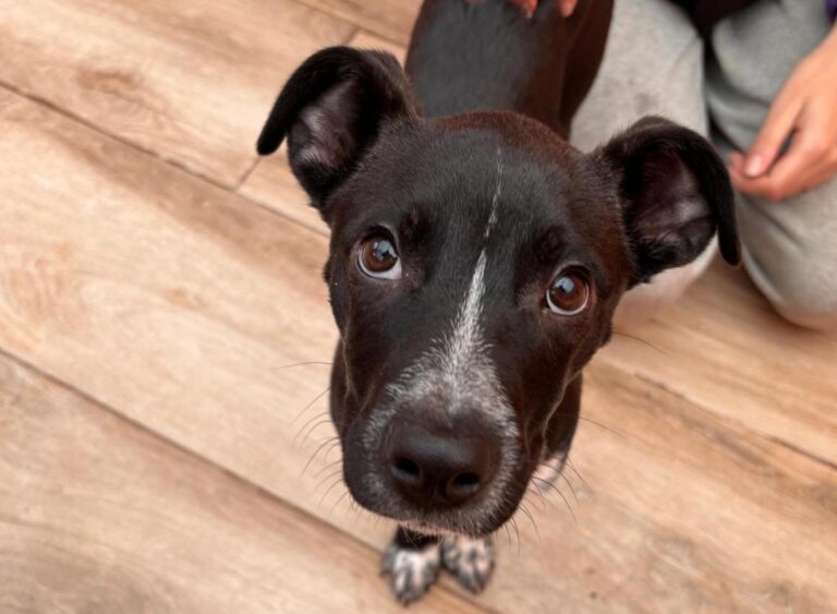 multimedia-foto92599-806-1