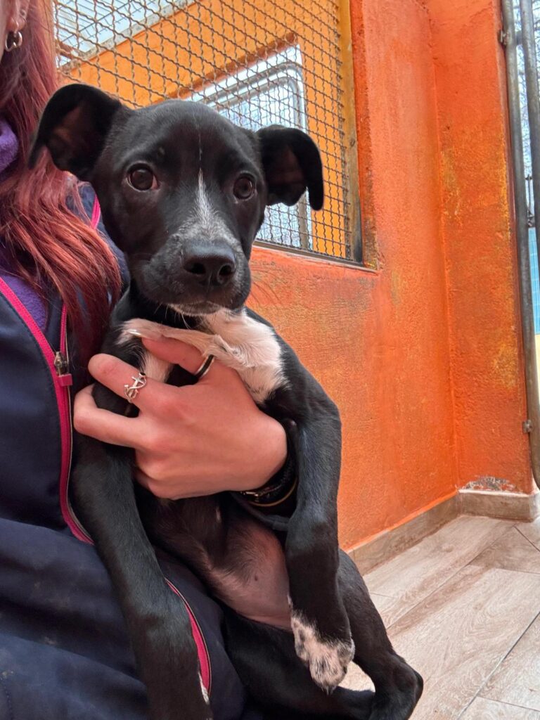 multimedia-foto92600-806-1