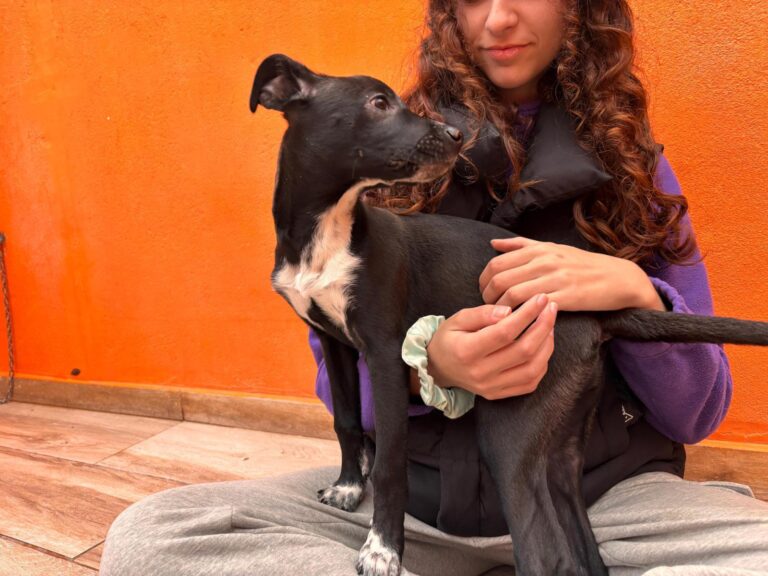 multimedia-foto92601-806-1