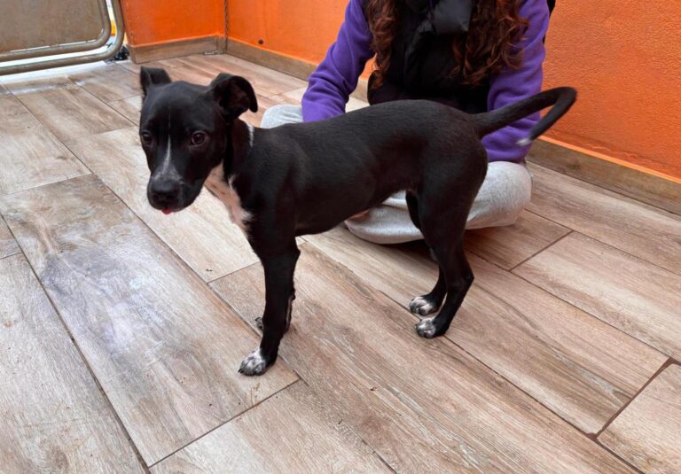 multimedia-foto92602-806-1