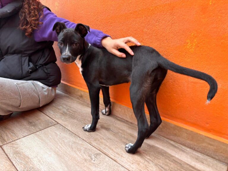 multimedia-foto92603-807-1