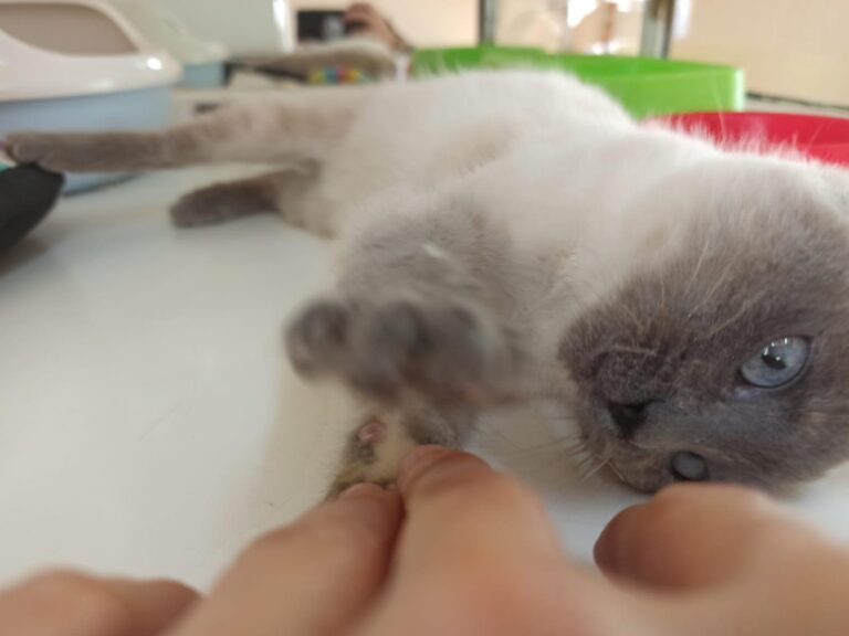 multimedia-foto92611-196-1