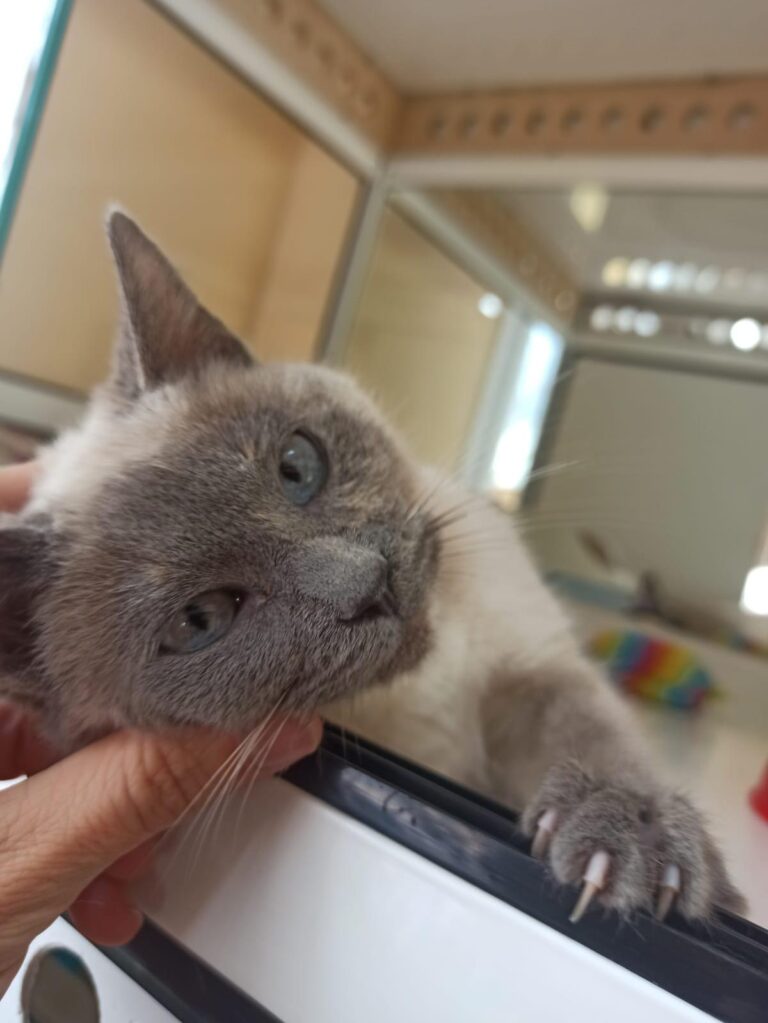 multimedia-foto92613-196-1