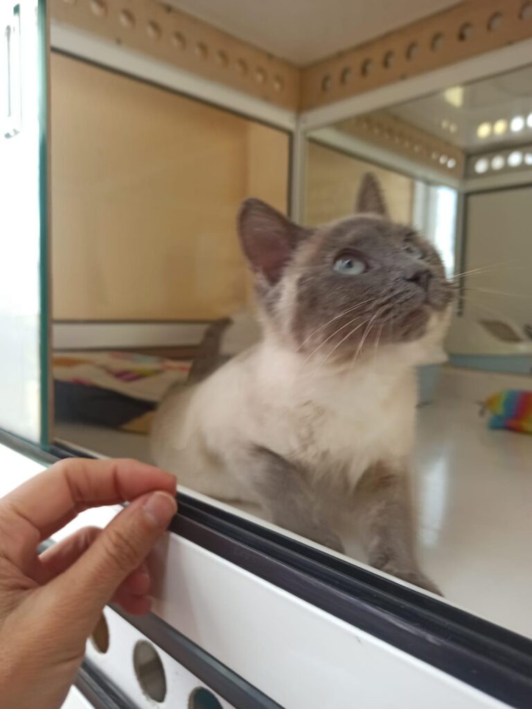 multimedia-foto92614-196-1