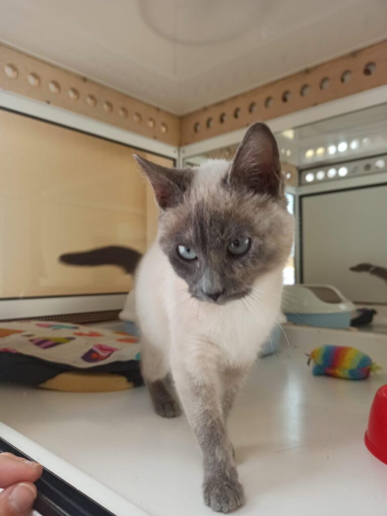 multimedia-foto92615-197-1