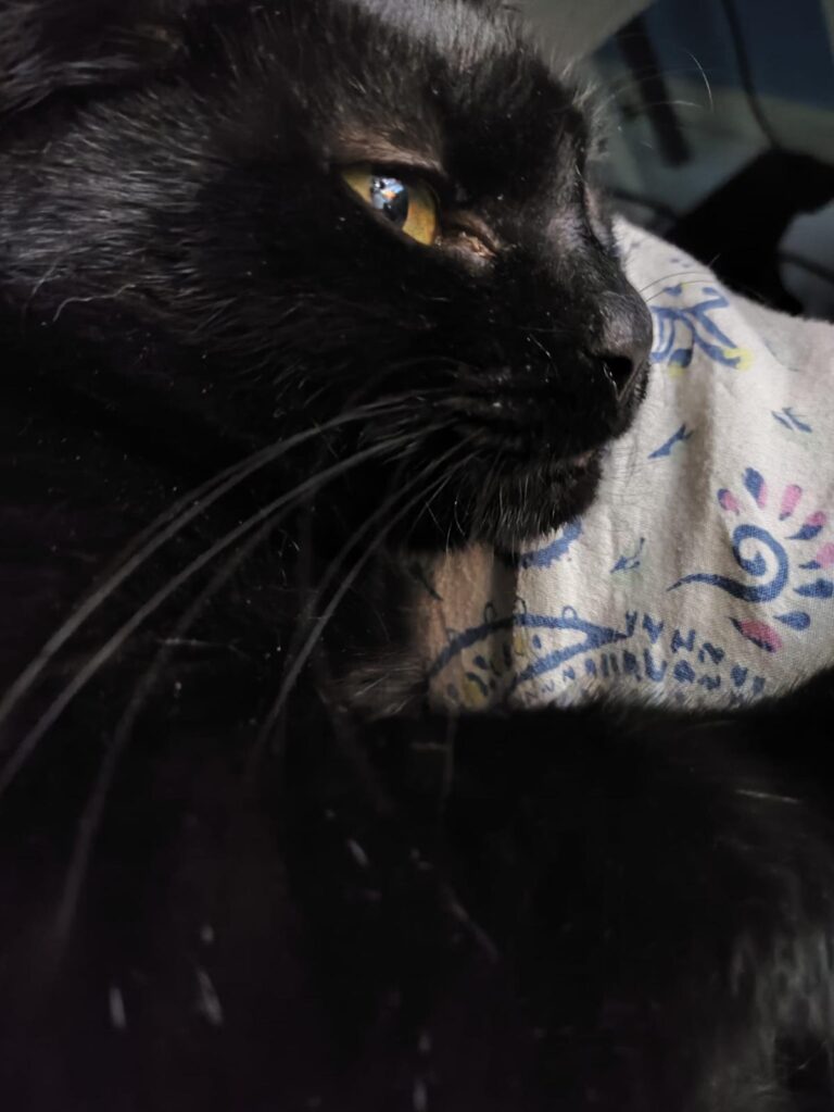 multimedia-foto92629-955-1