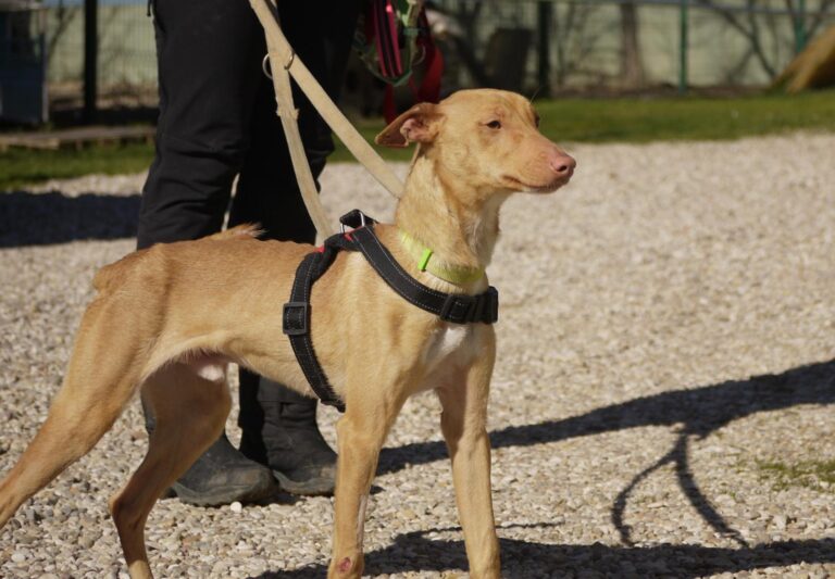 multimedia-foto92634-405-1