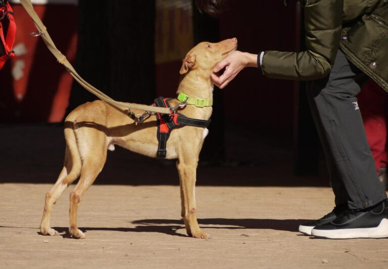 multimedia-foto92638-406-1