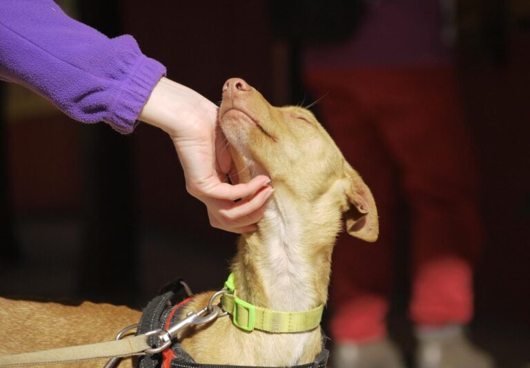 multimedia-foto92639-407-1