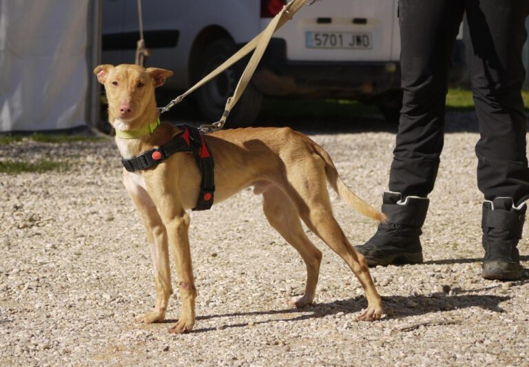 multimedia-foto92640-407-1