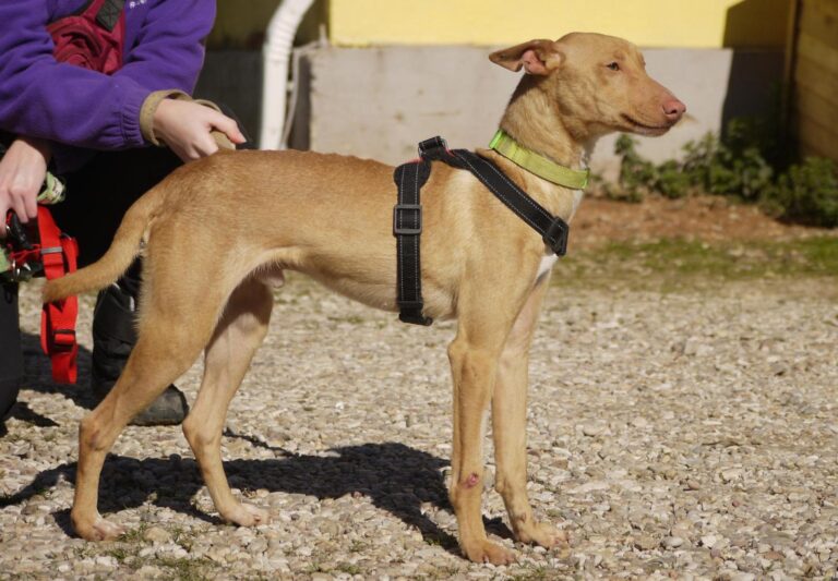 multimedia-foto92642-407-1