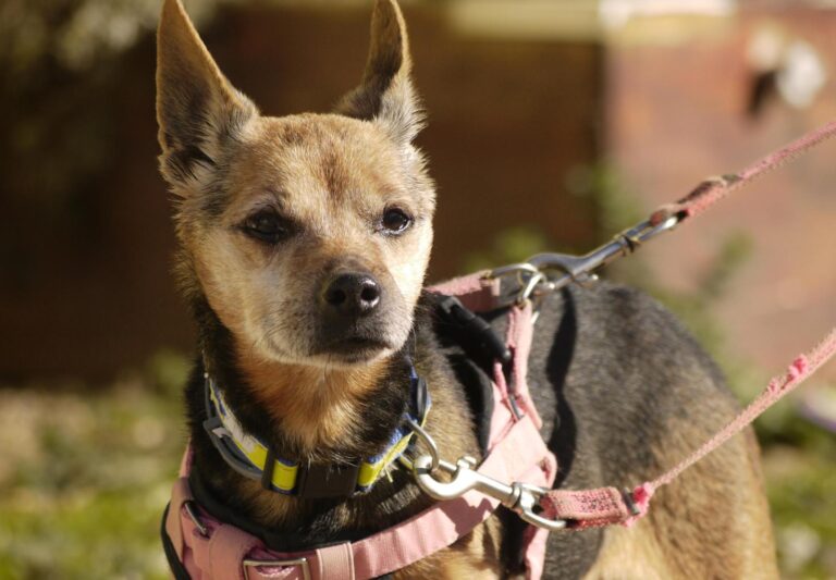 multimedia-foto92646-601-1