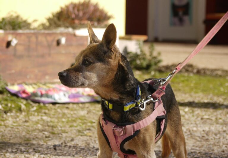 multimedia-foto92648-601-1