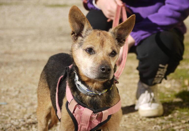 multimedia-foto92649-601-1