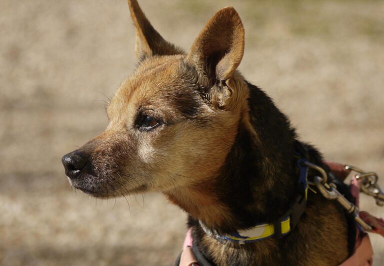 multimedia-foto92650-602-1