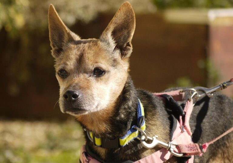 multimedia-foto92654-603-1