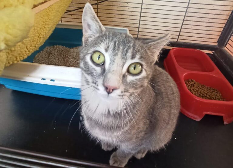 multimedia-foto92666-978-1