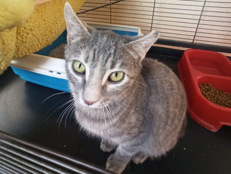 multimedia-foto92667-978-1