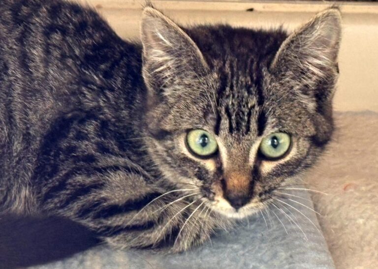 multimedia-foto92668-913-1