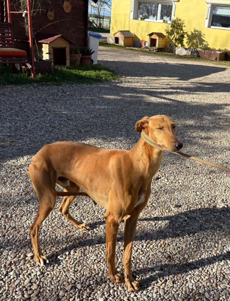 multimedia-foto92675-868-1