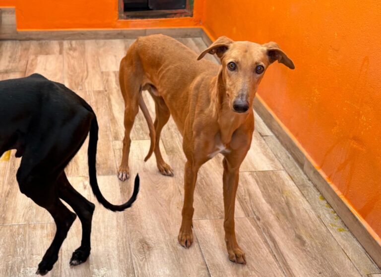 multimedia-foto92677-869-1