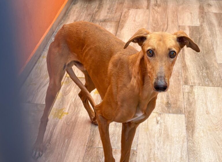 multimedia-foto92678-869-1