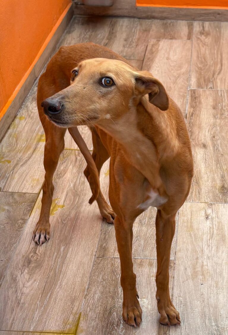 multimedia-foto92679-869-1