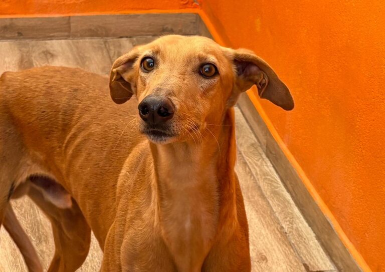 multimedia-foto92680-870-1