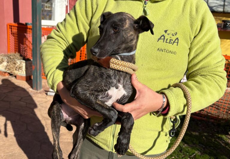 multimedia-foto92697-851-1