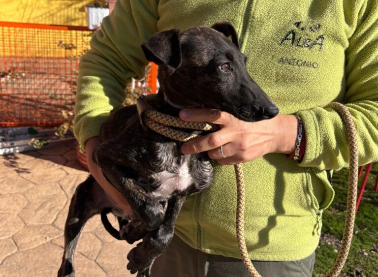 multimedia-foto92698-851-1