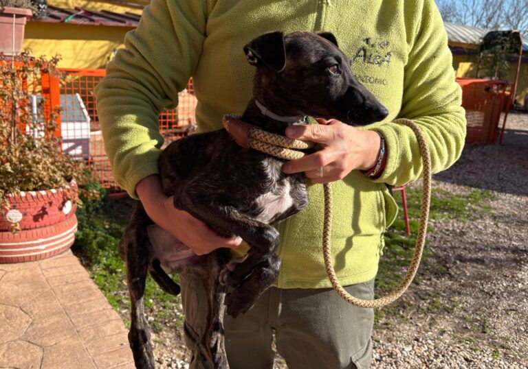 multimedia-foto92699-851-1