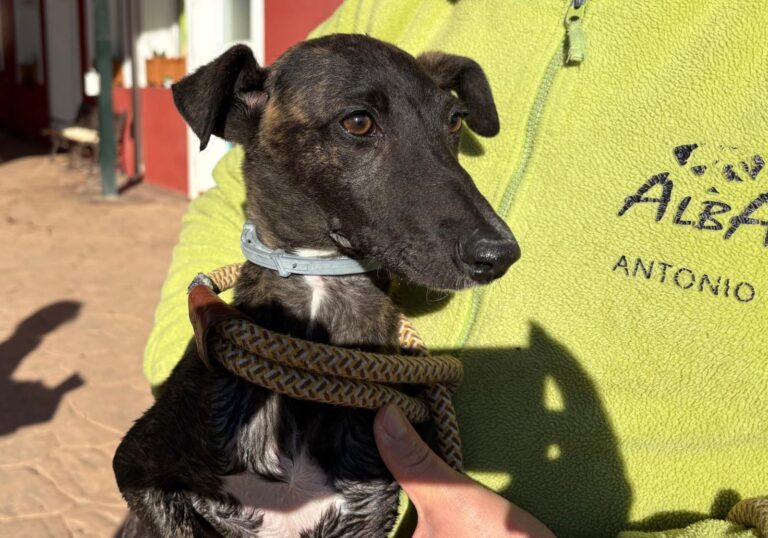 multimedia-foto92700-851-1