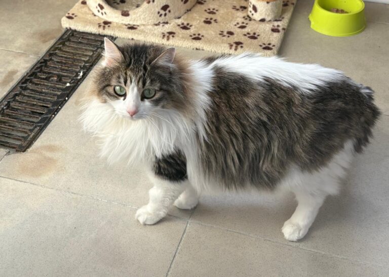 multimedia-foto92733-730-1