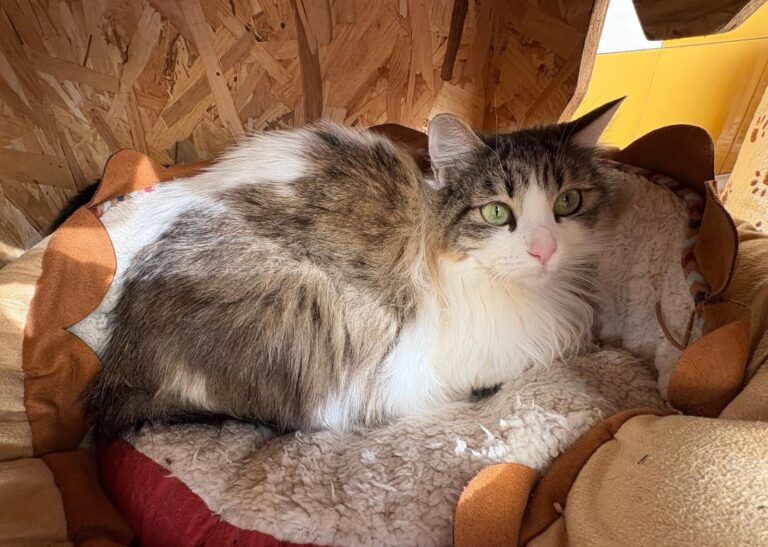 multimedia-foto92735-731-1