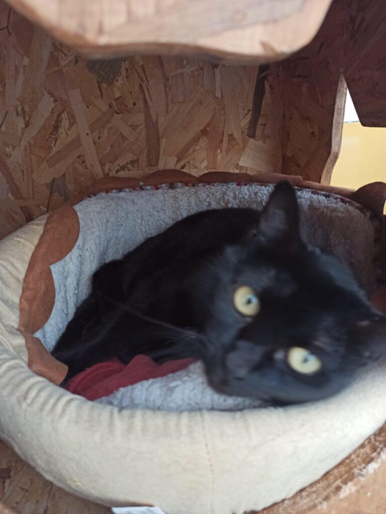 multimedia-foto92767-130-1