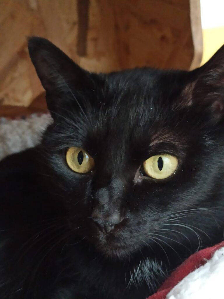 multimedia-foto92769-131-1