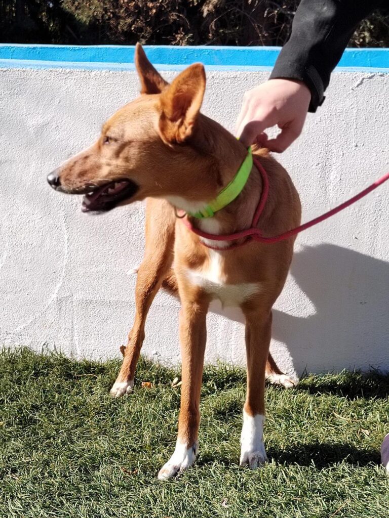 multimedia-foto92781-295-1