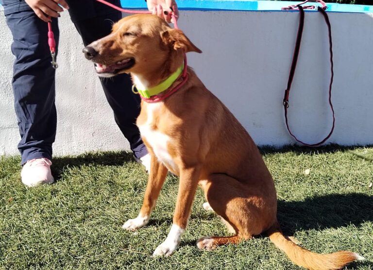 multimedia-foto92783-295-1