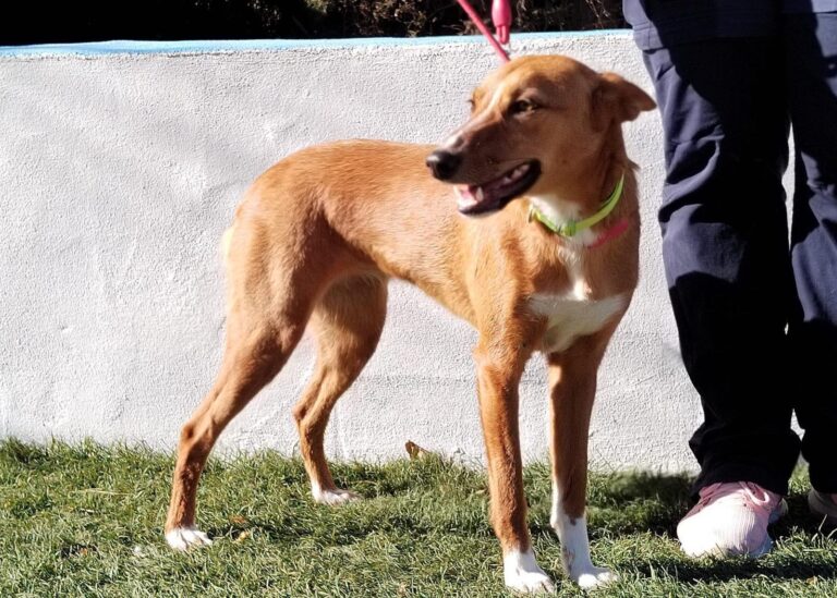 multimedia-foto92784-296-1