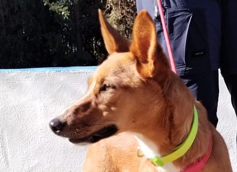 multimedia-foto92785-296-1